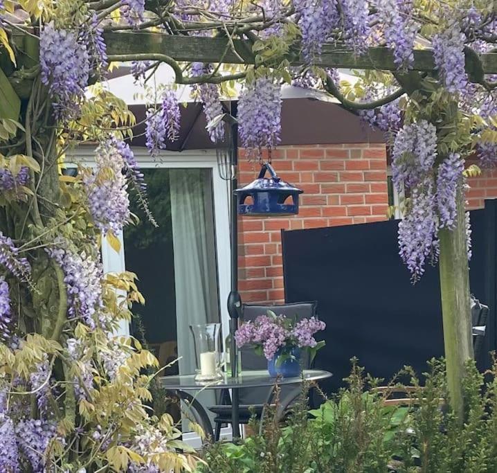 Ferienwohnung Bina Surwold エクステリア 写真